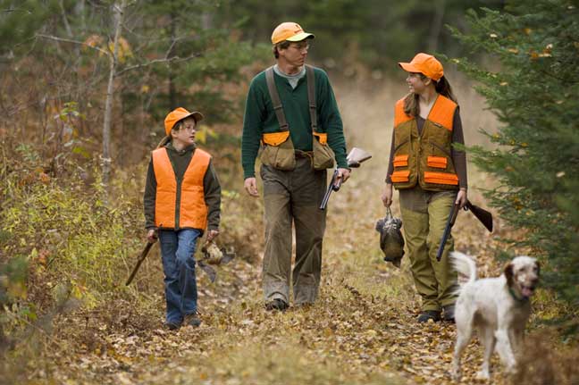 A Guide To Grouse And Woodcock Hunting In Michigan Michigan